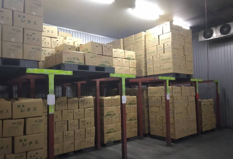 北部農園の風景12