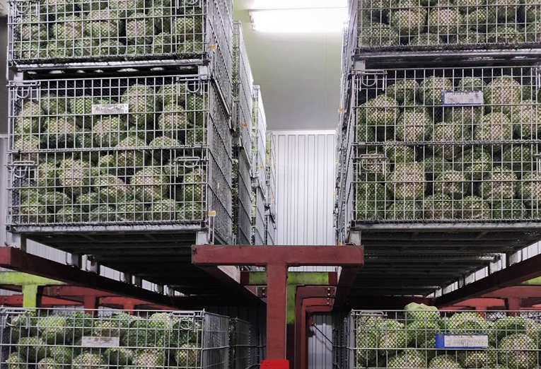 北部農園の風景3