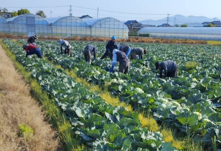 北部農園の風景5