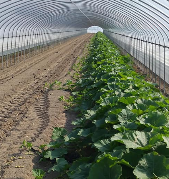 自由なスタイル